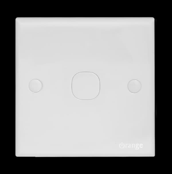 Blank Plate with Removable Plug Switch